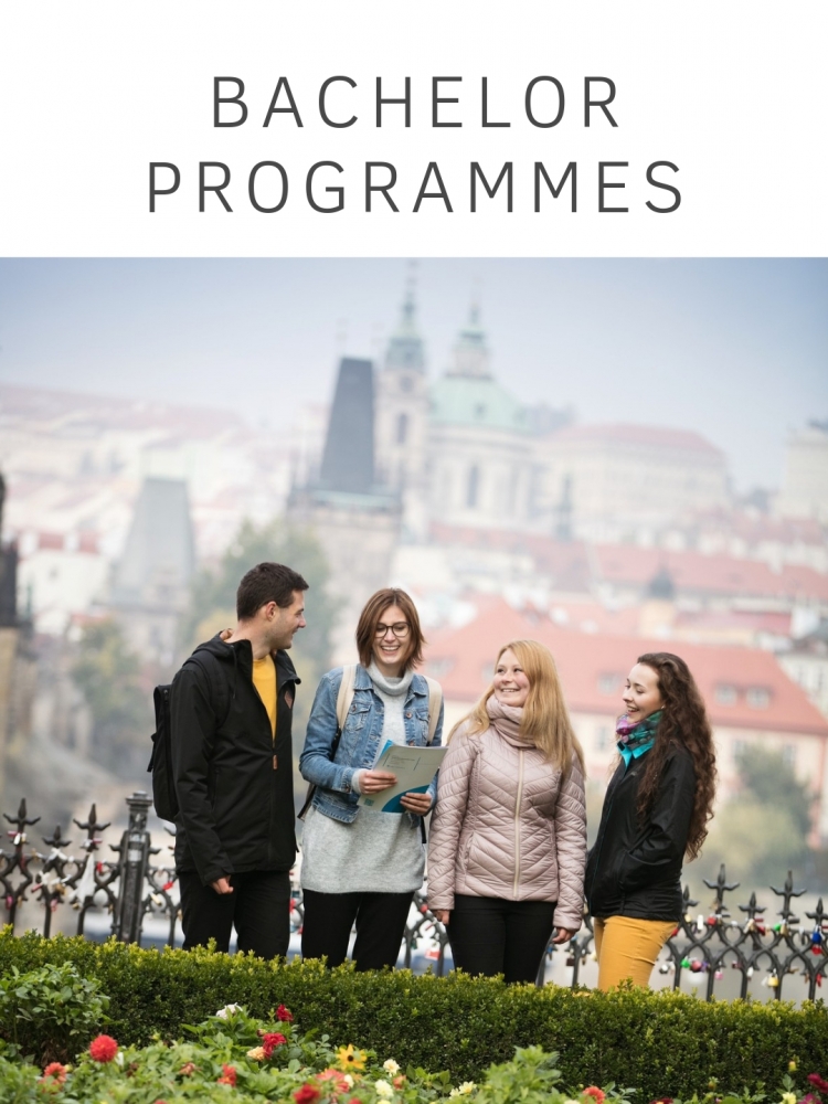 Bachelor Degree Programmes