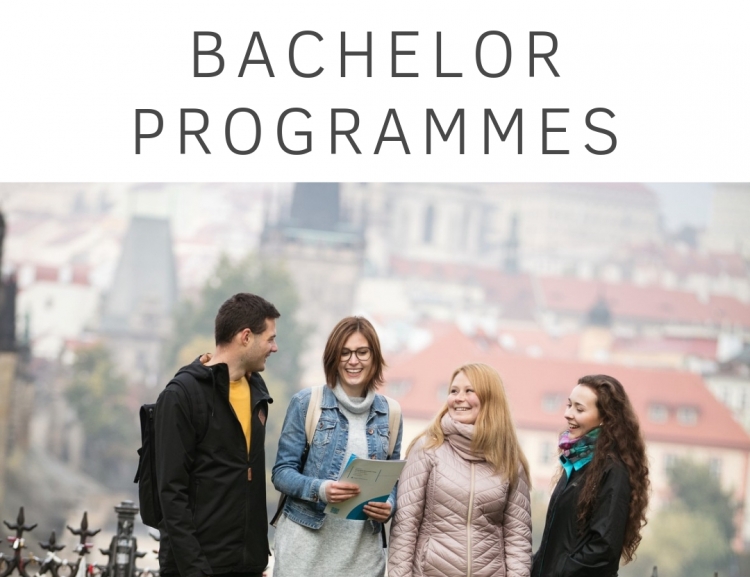 Bachelor Degree Programmes