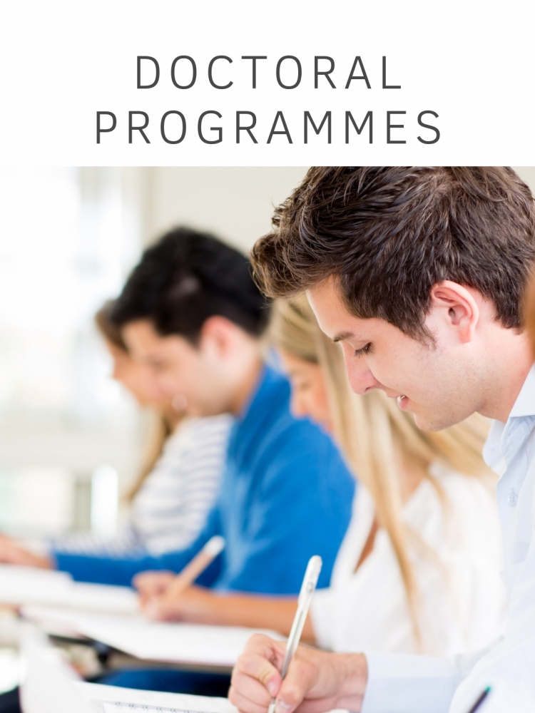 Doctoral Programmes