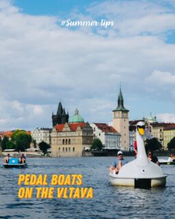 Looking for a relaxed summer activity without leaving Prague? 🚣

Rent a pedal boat and experience the city from a completely different perspective. Cruise along the Vltava, enjoy views of Prague’s riverside landmarks and spend a slow afternoon on the water with friends.

💡 Good to know before you go:

• Several rental spots can be found along the riverbanks and around Prague’s central islands.
• Boats are usually rented for a fixed amount of time, often by the hour.
• Rental conditions, prices and opening hours may vary depending on the operator.
• Bring water and sun protection, especially on hot days.
• Follow the rental staff’s instructions and stay away from weirs and restricted areas.

A perfect choice for sunny afternoons, city views and one of the most relaxing ways to enjoy summer in Prague. ☀️

#SummerTips #PedalBoats #Vltava #PragueSummer #StudyInPrague #VSEInternationalStudents