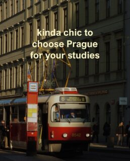Kinda chic, kinda Czech. 🇨🇿

#kindachic #trend #czechrepublic #prague #studyinprague