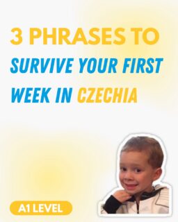 The only 3 Czech phrases you really need on day one (and day seven, and day one hundred)!😎

#czechlanguage #learnczech #czechword #czechphrases #cestina