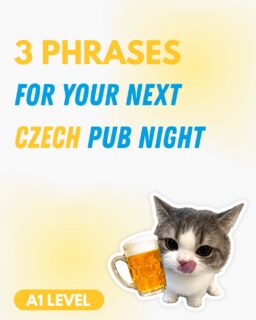 They say beer tastes better when you know how to order it in Czech!👀 These are the 3 phrases for your next Czech pub night!🍻

#czechlanguage #learnczech #czechphrases #czechia #pivo