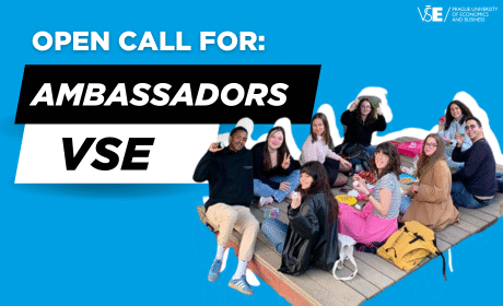 Open call for VSE Ambassadors 2025