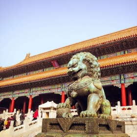Meet VŠE in China